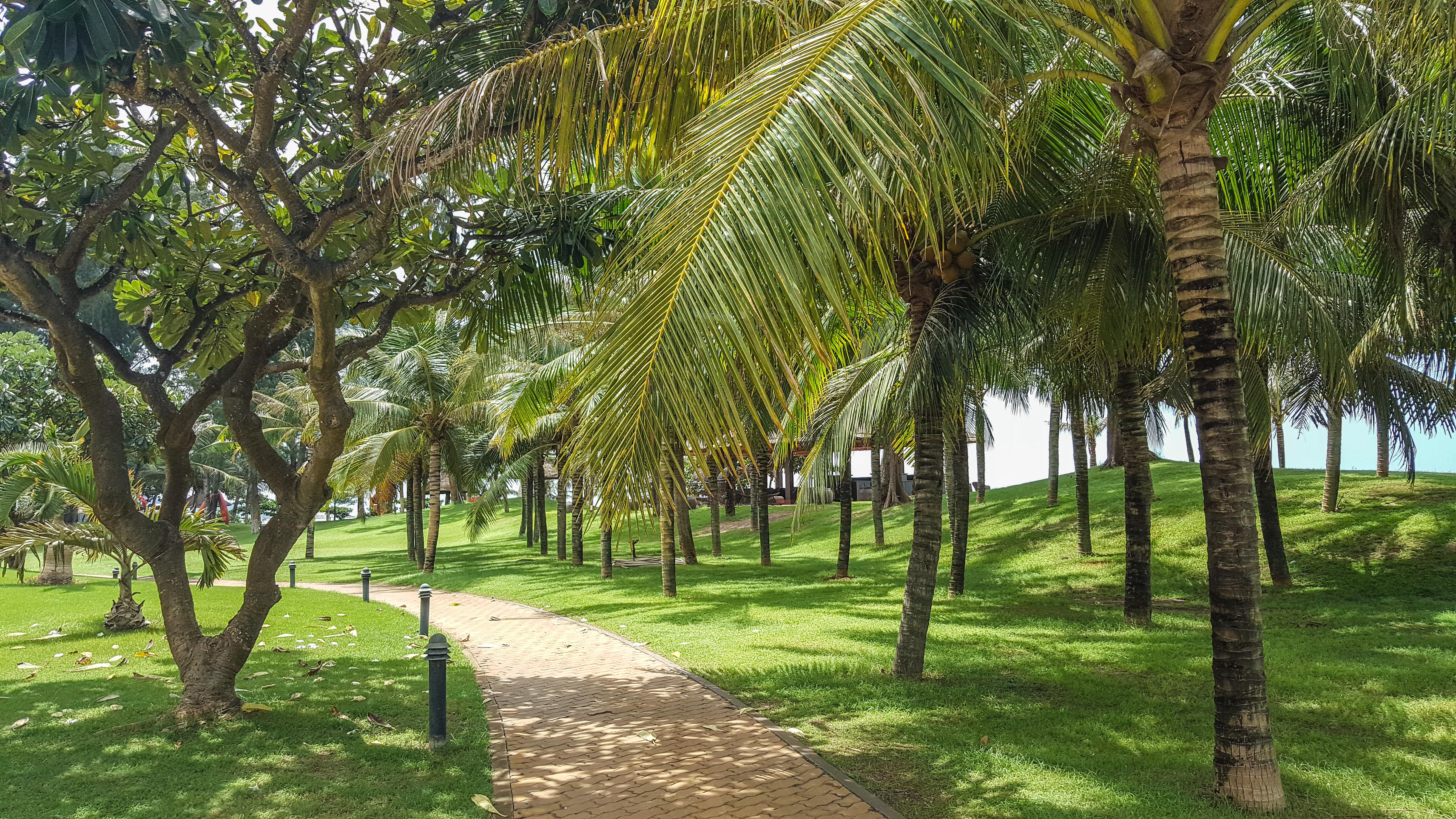 Phan Thiet Ocean Dunes Resort Bagian luar foto